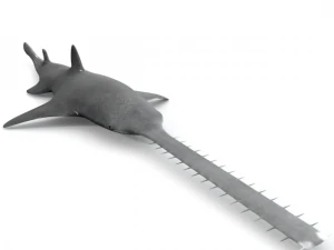 sawshark 3D Model
