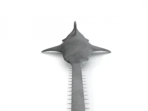 sawshark 3D Model