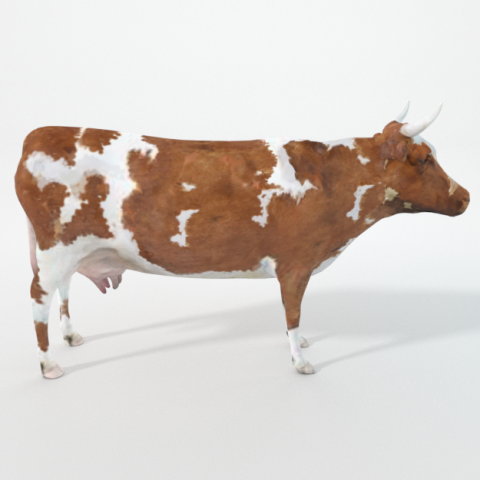 brown cow Model 3D .c4d .max .obj .3ds .fbx .stl .blend 