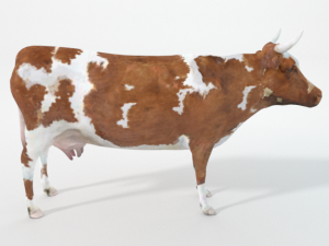 brown cow 3D Модель