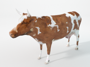 brown cow Model 3D
