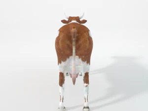 brown cow 3D Model