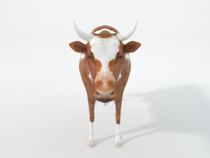 brown cow Model 3D
