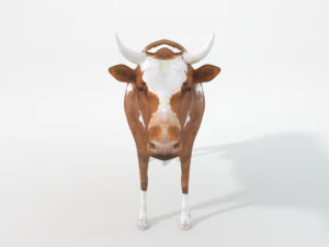 brown cow 3D Model