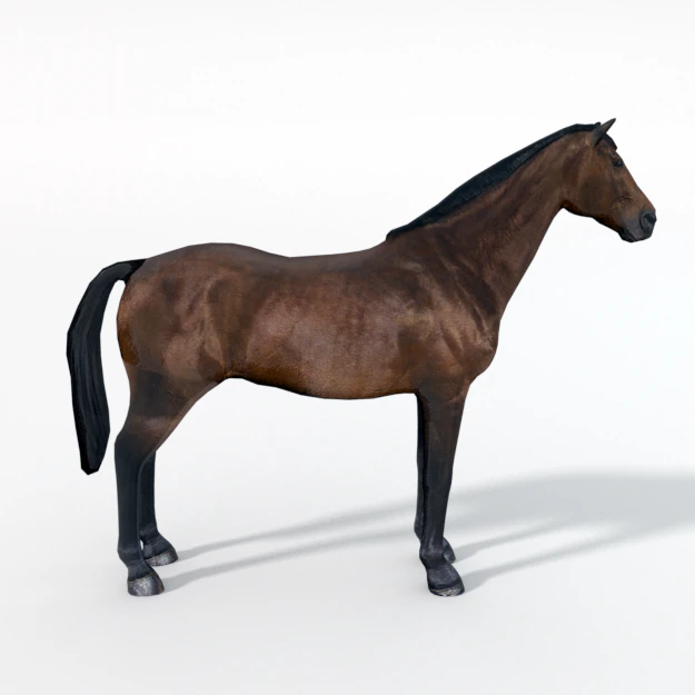 horse 3D Model .c4d .max .obj .3ds .fbx .stl .blend 
