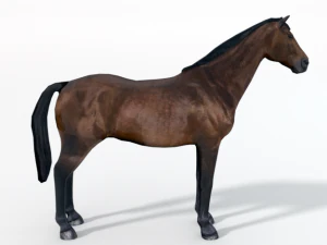horse 3D Model