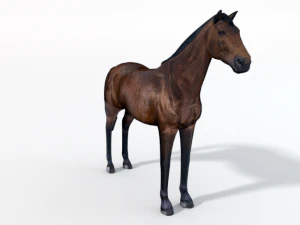 horse 3D Model