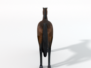 horse 3D Model