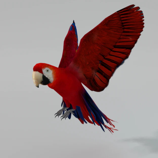 red macaw 3D Model .c4d .max .obj .3ds .fbx .stl .blend 