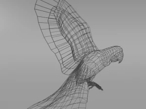 red macaw 3D Model