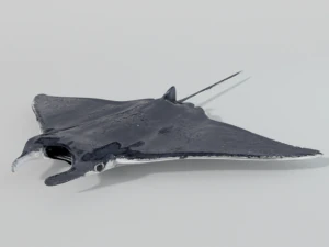 mantarraya Modelo 3D