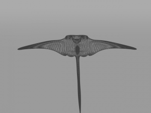 manta ray 3D 模型