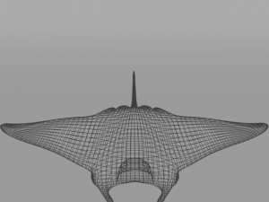 manta ray 3D 模型