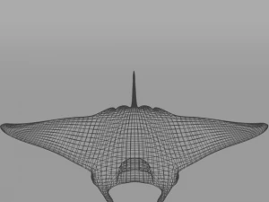manta ray 3D Model