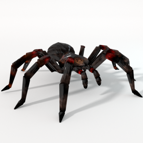 tarantula Modèle 3D .c4d .max .obj .3ds .fbx .stl .blend 