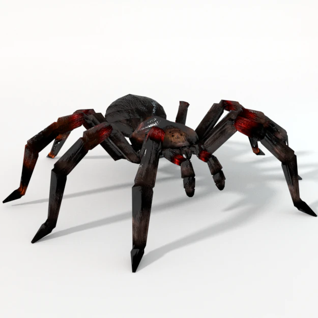tarantula 3D Model .c4d .max .obj .3ds .fbx .stl .blend 