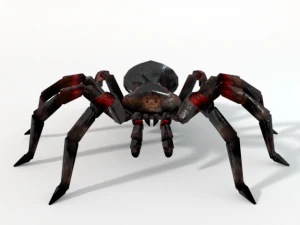 tarantula 3D Model