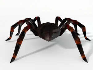 tarantula 3D Model