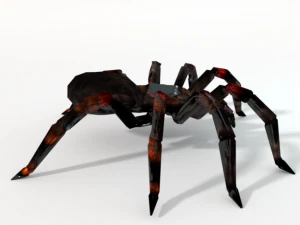 tarantula 3D Model