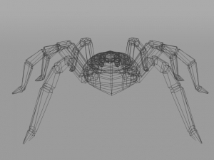 tarantula Modèle 3D