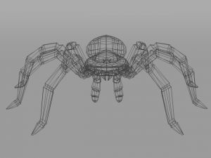 tarantula Modèle 3D