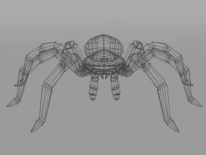 tarantula 3D Model