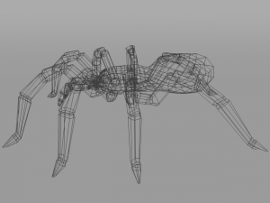 tarantula Modèle 3D