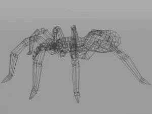 tarantula 3D Model
