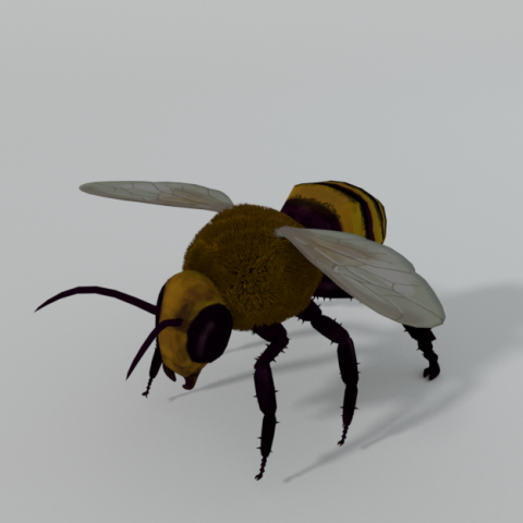 african bee 3D Модель .c4d .max .obj .3ds .fbx .stl .blend 