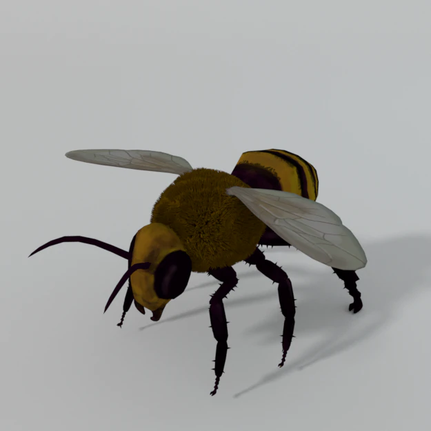 african bee 3D Model .c4d .max .obj .3ds .fbx .stl .blend 