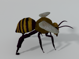 african bee 3D Модель