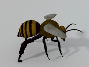 african bee 3D Model