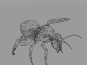 african bee 3D Модель