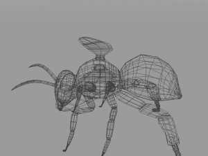 african bee 3D Модель