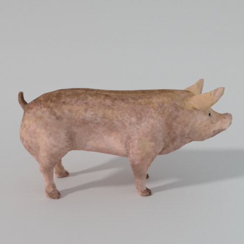 standard pig 3D 모델 .c4d .max .obj .3ds .fbx .stl .blend 