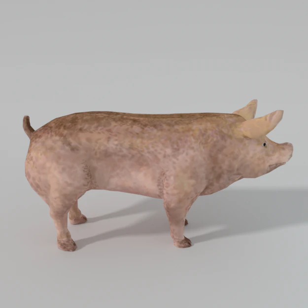 standard pig 3D Model .c4d .max .obj .3ds .fbx .stl .blend