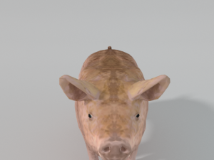 standard pig 3D 모델