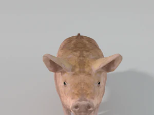 standard pig 3D Model