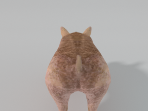 standard pig 3D 모델