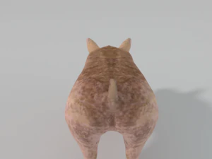 standard pig 3D Model