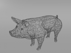standard pig 3D 모델