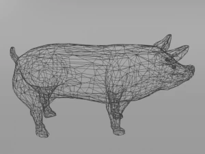 standard pig 3D Model