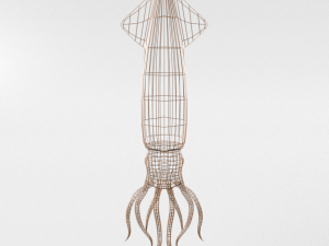 squid Modello 3D
