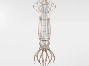 squid 3D Model
