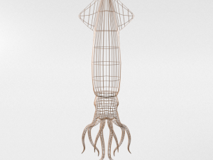 squid Modello 3D