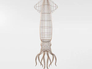 squid 3D Model
