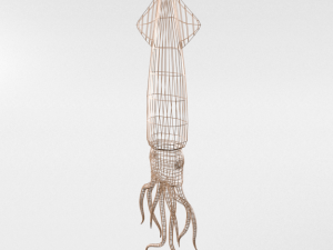 squid Modello 3D