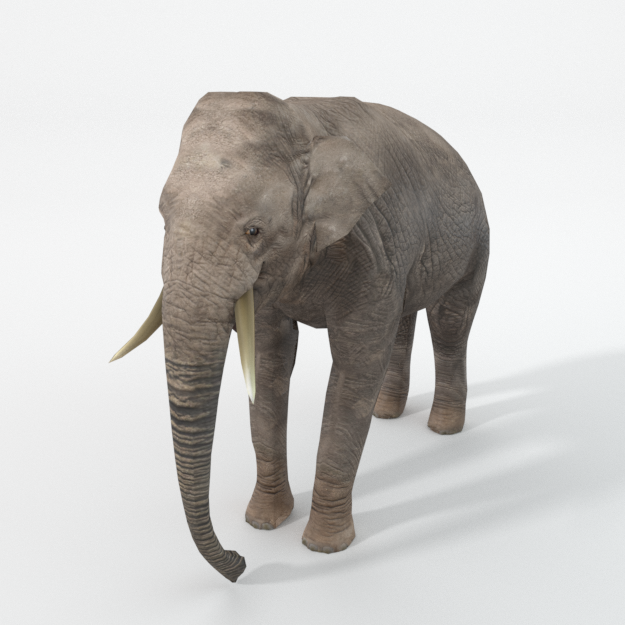 Слон 3д модель. Модель слона в Blender. Слон 3d модель. Слон 3д модель для принтера.