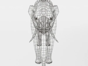elephant 3D Model