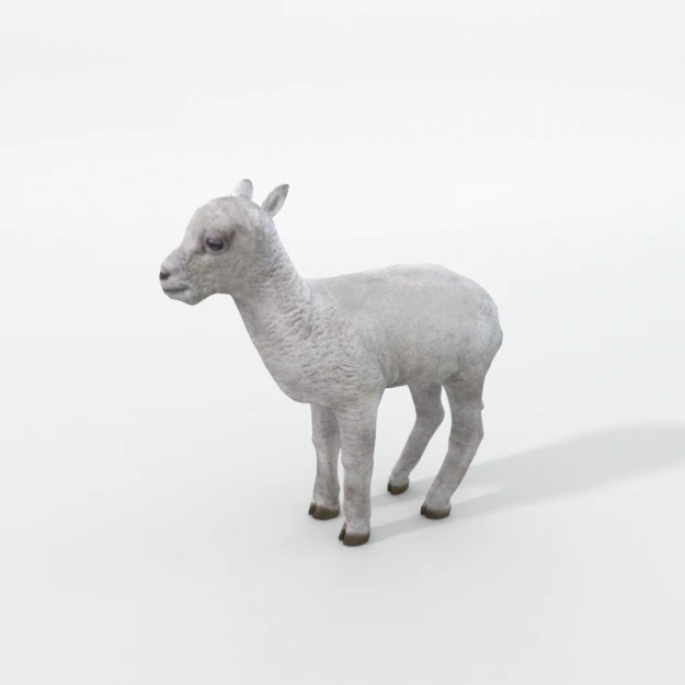 little sheep 3D Model .c4d .max .obj .3ds .fbx .stl .blend 